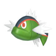 Basculin (Red-Striped Form)