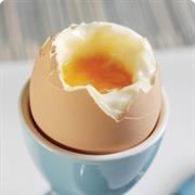 Egg
