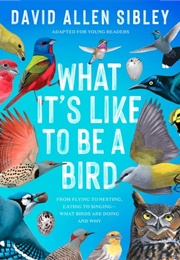 What It&#39;s Like to Be a Bird (David Allen Sibley)
