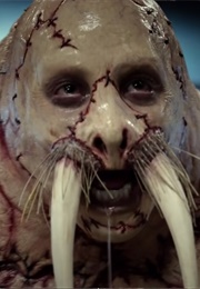 Wallace - "Tusk" (2014)