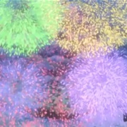 Fireworks Island Residents