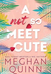 A Not So Meet Cute (Meghan Quinn)