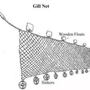 Gill Net