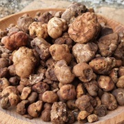 Whitish Truffle (Tuber Borchii)