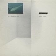 Henry Kaiser - It's a Wonderful Life