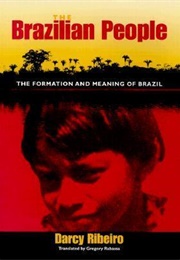 The Brazilian People: The Formation and Meaning of Brazil (Gustavo Lins Ribeiro)