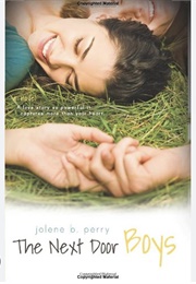 The Next Door Boys (Jolene B Perry)