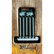 Stevie Ray Vaughan - SRV