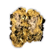 YVR Cookie Cookies N' Creme Cookie