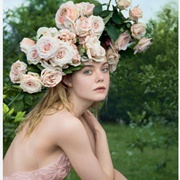 Putting Flowers in Your Hair