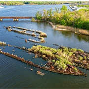 Curtis Creek Ship Graveyard