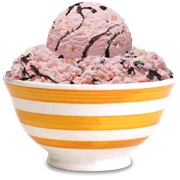 Denali Peppermint Bark Moose Tracks Ice Cream