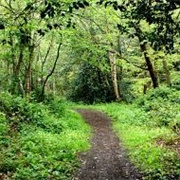 Washington Reservation