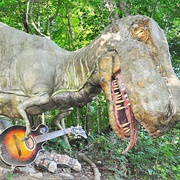 Wells Dinosaur Haven