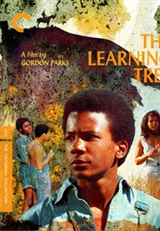 The Learning Tree (1969)