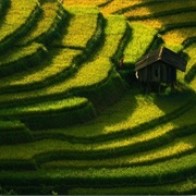 Tu Le Valley, Vietnam