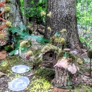 Botanic Garden at Historic Barns Park Fairy Trail