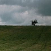 Rinoa - Rinoa (2008)