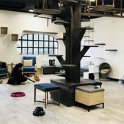 Cat Cafe Lounge