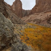 Thousand Creek Gorge