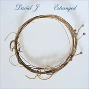 David J - Estranged