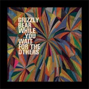While You Wait for the Others - Grizzly Bear