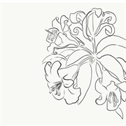 Oatmello - Mocha & Vanilla