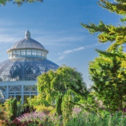 The New York Botanical Garden, the Bronx, New York