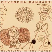 Devendra Banhart - Rejoicing in the Hands (2004)