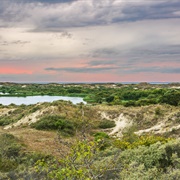 Meijendel, the Netherlands