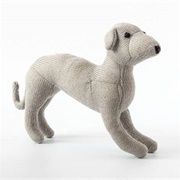 Toy Italian Greyhound