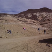 Royal Peacock Black Fire Opal Mine