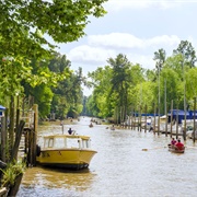Tigre River, Luján River & the Tigre Delta, Argentina