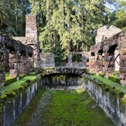 The Wolf House - Jack London State Park