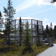 Marcell Experimental Forest