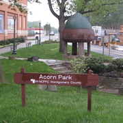 Acorn Park