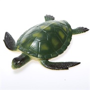 Toy Turtle