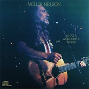 What a Wonderful World (Willie Nelson, 1988)