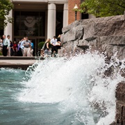 'Coastline' Wave Pool