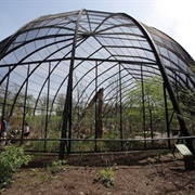 1904 World's Fair Flight Cage
