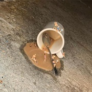 Hattiesburg Pocket Museum