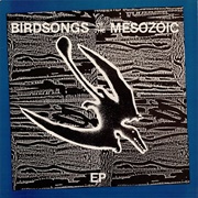 Birdsongs of the Mesozoic - Birdsongs of the Mesozoic