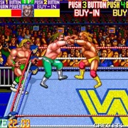 WWF Wrestlefest