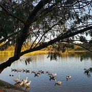Mariano Roque Alonso, Paraguay
