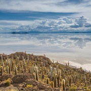 Isla Incahuasi, Salar De Uyuni, Bolivia