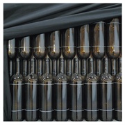 Red Barked Tree (Wire, 2010)