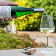 Drink Riesling Wine in Germany