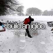 Build an Igloo