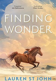 Finding Wonder (Lauren St. John)
