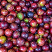 Camu-Camu (Myrciaria Dubia)